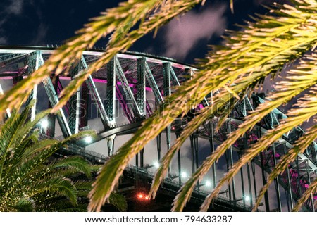 Sydney Harbour Bridge behind the leaves of a palm tree