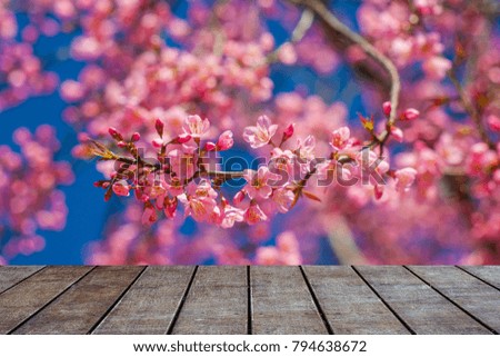 Empty top wooden table with pink cherry blossom flower blurred background.