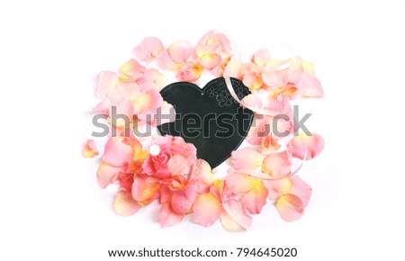 Fresh rose petals