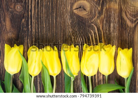 row of yellow flowers on a wooden dark background, place for inscription