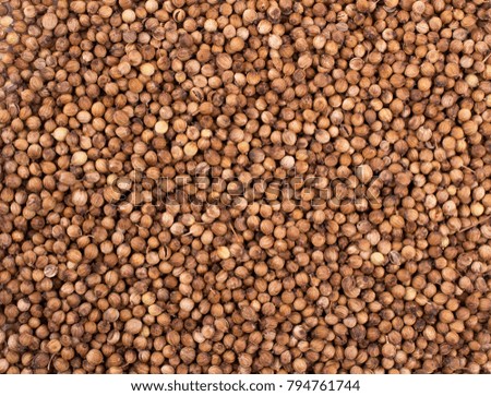 Texture background. dry coriander seeds Top view