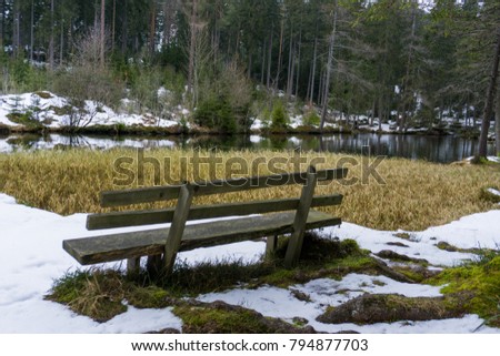 Bench on the shore of an alpine wetland