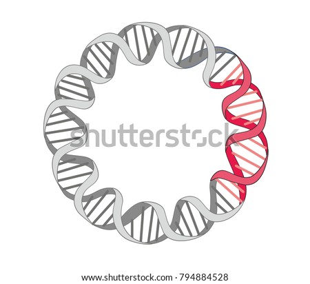 A bacterial plasmid is a small DNA molecule that contains a site for a DNA insert.