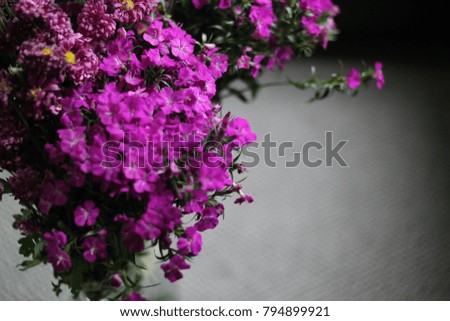 A vase of purple flowers