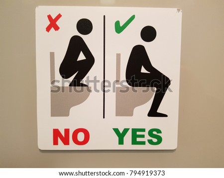 pictogram showing how to use a toilet seat in Germany correctly 