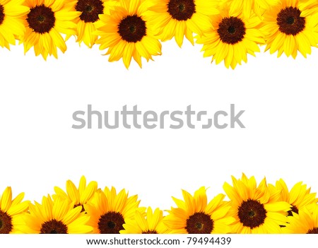 sunflower frame