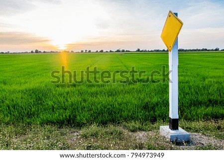 Traffic sign beside in green rice field,Blue sky and Twilight