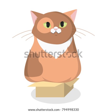 Isolated cartoon fat cat in box on white.