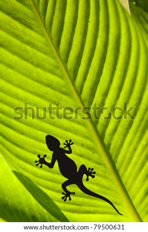 Macro shot of a gecko and a fly on a leaf isolated on black