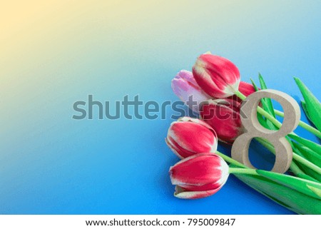 International Women's Day concept. Tulips and wooden eight figure on the blue background. 
