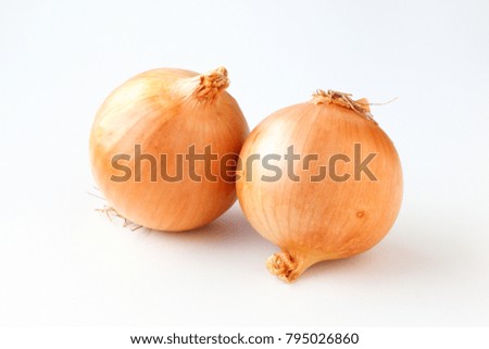 Two onions vegetables on a white background