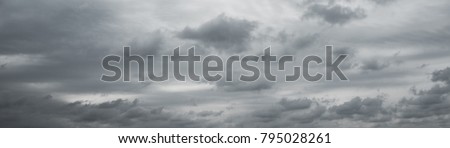 Panoranic gray overcast sky. Beautiful cloudscape over horizon, sky. Royalty-Free Stock Photo #795028261