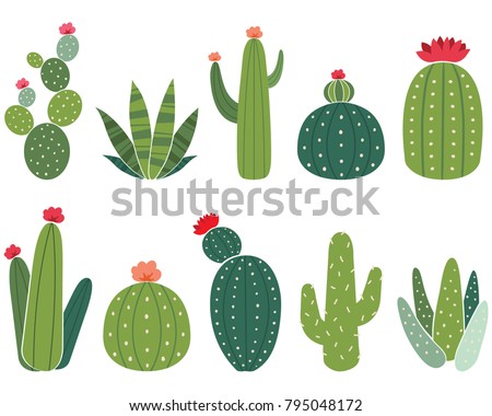 Cactus Collections Set Royalty-Free Stock Photo #795048172