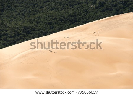 walkers on the dune of Pyla near Arcachon in France