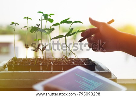 Man working business agriculture Analysis strategy research plant seedling growth digital tablet .ecology concept
