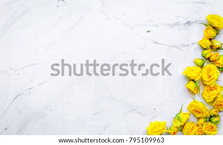 roses frame for spring design on marble background top view mock