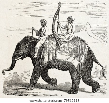 Old illustration of an elephant in Oude, antique Indian northern kingdom, By unidentified author,  published on L'Illustration Journal Universel, Paris, 1857
