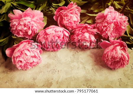 Beautiful pink peony flower blossoms on vintage grunge filters concrete textured background. Happy International women's mother's valentine's first spring day. Copy space, close up, top view, retro