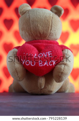The teddy bear holds red heart with recognition behind the back