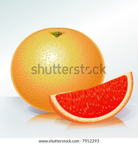 Grapefruit  (other fruits & vegetables are in my gallery)