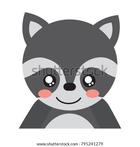 cute portrait raccoon animal baby