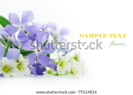 Spring flowers on white background.