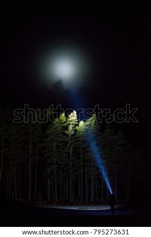 Man standing outdoor at night shining with flashlight up the sky and at trees in forest. Dark cold winter night in Sweden Scandinavia. Nice abstract nature and landscape photo. Calm and mystical.