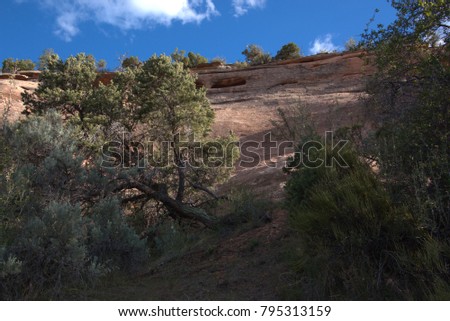 Utah red rock arid environment and sage & Jupiter trees