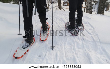 Group of people enjoying a snowshoeing on a trail in winter