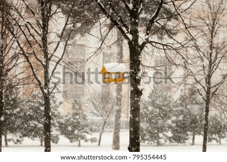 Bird feeder in winter city park during snowfall
