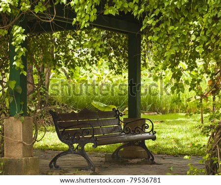 Bench in the camber Royalty-Free Stock Photo #79536781