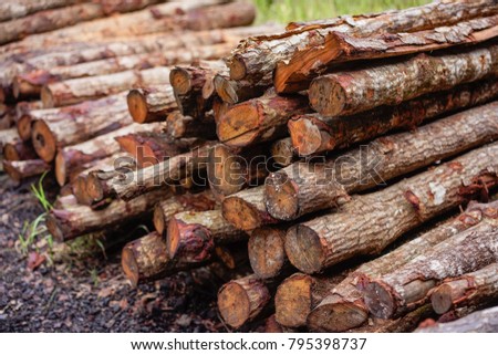 A stack of mangrove woods at charcoal factory located in Kuala Sepetang, Malaysia. This factory produces charcoal from mangrove timber from nearby mangrove forest.