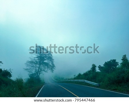 Beautiful road with a lonely tree beside in the morning fog in the autumn.