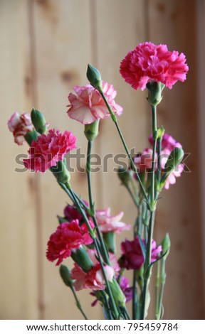 Carnation flowers 9 may bouguet. Pink flowers of carnation in vase on wooden background. Carnations for Victory Day in 9 may, womans or mothers day as greeting card or pink flowers 9 may  background.