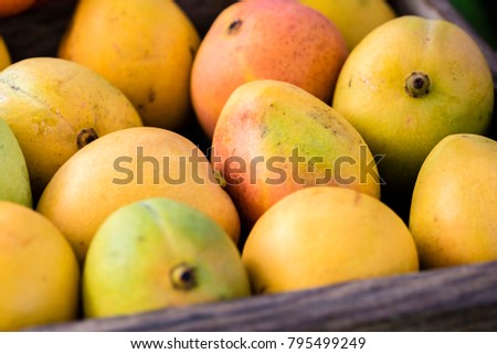 Fresh mango fruit in wooden box, full frame, closeup.
Mangos yellow, red, green color, display at local market stall in Sydney, Australia.
 Royalty-Free Stock Photo #795499249