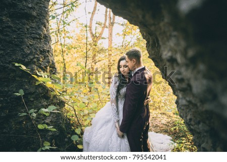 beautiful couple of newlyweds in the picturesque landscape 