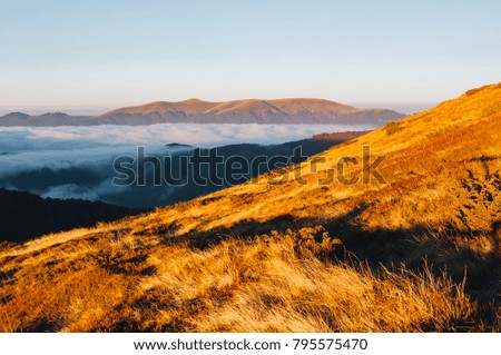 Awesome morning moment in alpine foggy valley. Location Carpathian national park, Ukraine, Europe. Scenic image of wilderness, hiking concept. Idyllic adventure vacations. Explore the beauty of earth.