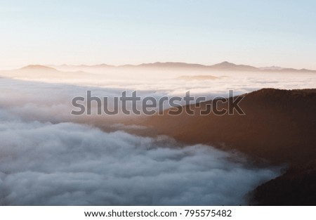 Perfect morning moment in alpine foggy valley. Location Carpathian national park, Ukraine, Europe. Scenic image of wilderness, ecology concept. Drone photography. Explore the beauty of earth.