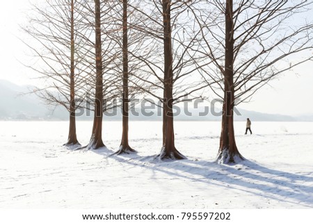 Winter landscape in the park 