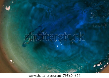 Blue turquoise defocused water top view. Has bubbles and waves in motion. Sea, ocean, abstraction, surrealism. Abstract pattern, texture. Lines and forms of liquid. It's bright and calm. Relax. Peace.