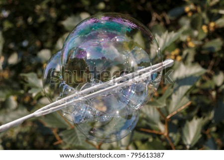 inflated bubble on a background of green trees and bushes
