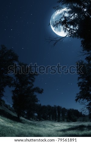Blue night with moon