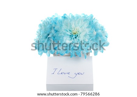 Blue chrysanthemums in a bucket with chrysanthemums next card with the text "I love you" . Isolated