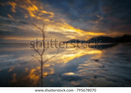 An old dead tree under the reflection during golden sunset in the beach in Gaussian blur