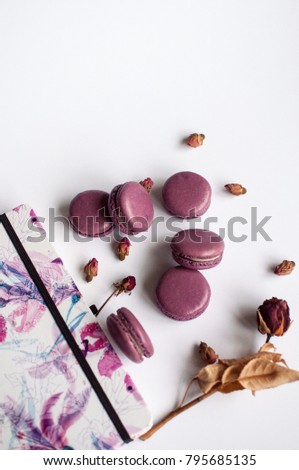 macaroon on white background with dried flower, colorful almond cookies, pastel colors. Present with love. St.Valentines day