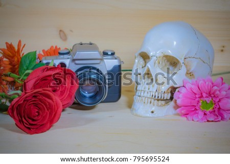 Camera with beautiful flowers and skull on Wood Background