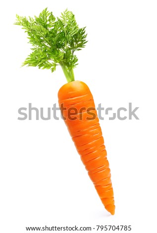 Carrot isolated on white background Royalty-Free Stock Photo #795704785
