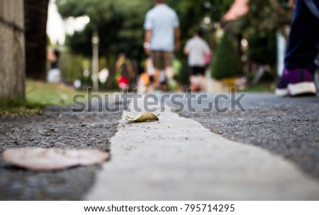 People exercise in public park 
in the morning running Abstract blur background.