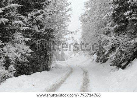 spectacular winter landscape photos .artvin savsat turkey