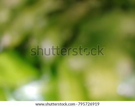 Abstract out of focus lights coming from the tree with abstract background of green leaves. Abstract background of Green and White color. 